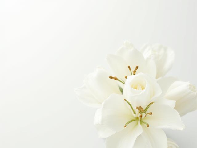 Kompozycja Biała Elegancja