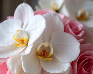 Bukiet Panny Młodej